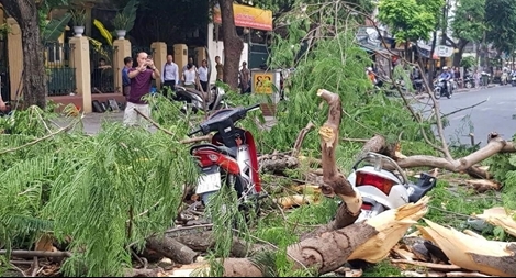 Cây phượng đổ trúng 5 người đi xe máy trên đường Quán Sứ