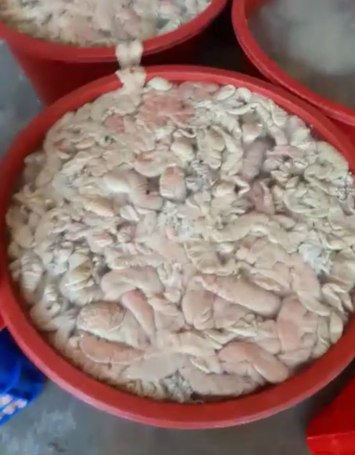 Hãi hùng hơn 1,4 tấn lòng lợn thối được tẩy trắng bằng hóa chất Trung Quốc