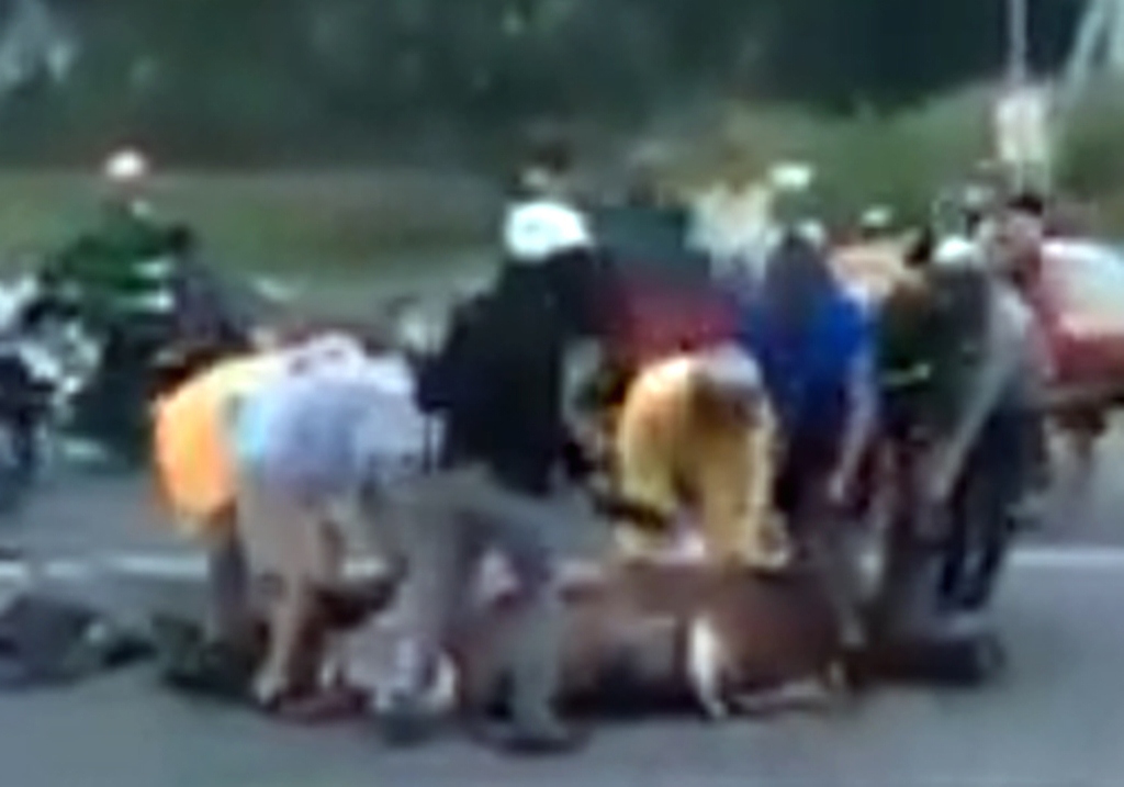 Xử phạt hành chính nhóm người “hôi” thịt trâu giữa đường gây xôn xao dư luận