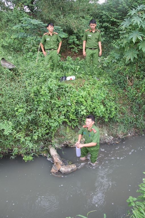 Công ty khoai mì nhiều lần không chấp hành xử phạt về lĩnh vực bảo vệ môi trường