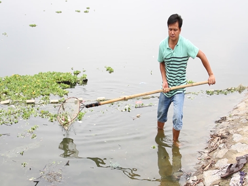 Cá chết nhiều trên hồ Từ Vân