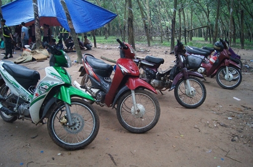 Bị vây bắt, hàng trăm con bạc bỏ trốn trong rừng cao su