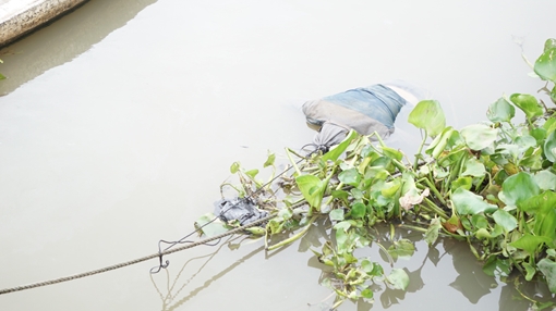 Thi thể người đàn ông nổi lẫn trong đám lục bình