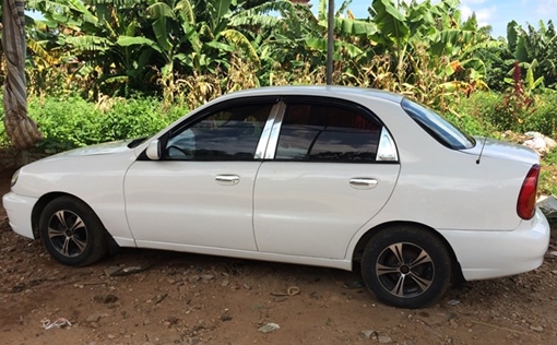 Bắt kẻ trộm ô tô chở phân bò