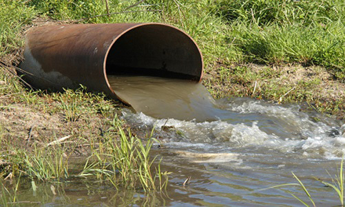 Xử phạt doanh nghiệp xả thải đầu nguồn sông Vàm Cỏ Đông