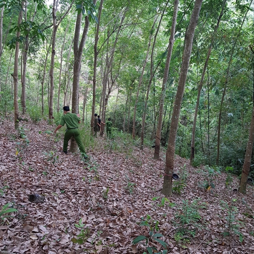 Bí ẩn bộ xương người bên khe suối