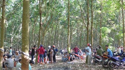 Bắt thêm 3 đối tượng chích điện, cắt tai cô gái