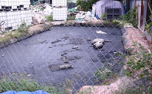 Bãi rác thải công nghiệp rộng gần 2ha, bốc mùi hôi thối khu dân cư