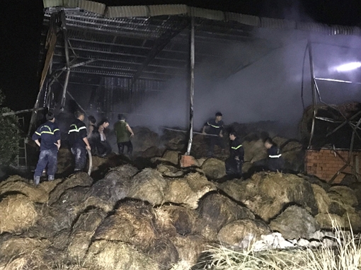 Cháy lớn đám cỏ dưới tán rừng núi Bà Đen và kho chứa rơm