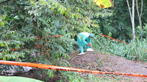 Phát hiện thêm hai hộ gia đình có đàn lợn “dính” dịch