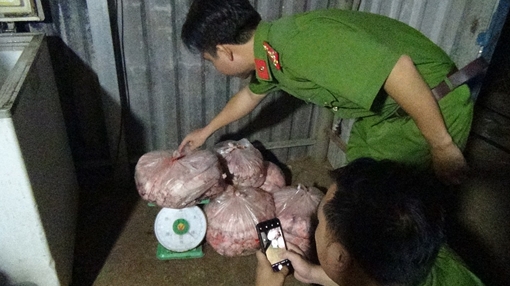 Kiểm tra dịch tả heo Châu Phi, phát hiện 1,3 tạ mỡ và da heo bẩn