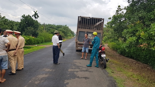 Bắt 2 xe tải chở hàng chục con heo vào vùng dịch tả lợn Châu Phi