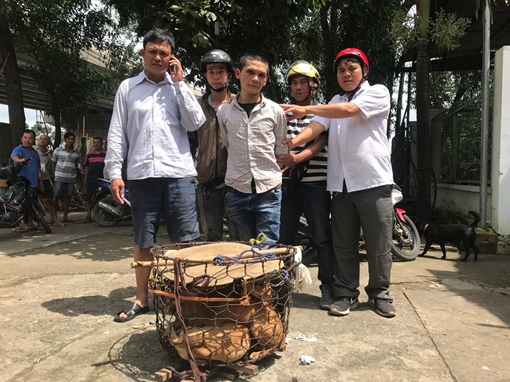 Tóm kẻ trộm xe từ 4 con chó