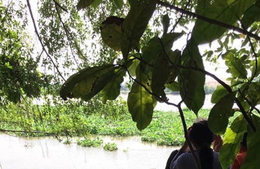 Rủ nhau tắm sông Sài Gòn, nam sinh 13 tuổi mất tích