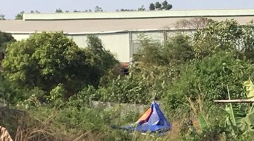 Phát hiện thi thể phân hủy trong bụi rậm bên đường