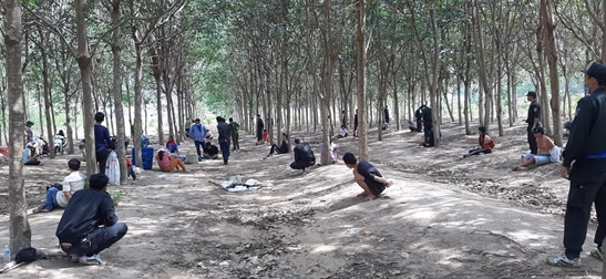 Bắt 22 con bạc đang sát phạt trong vườn cao su 