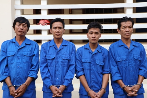 “Núp bóng” thương lái mua mít đánh bạc