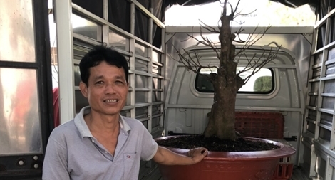 Nhóm đối tượng rủ nhau trộm cây kiểng có giá trị lớn