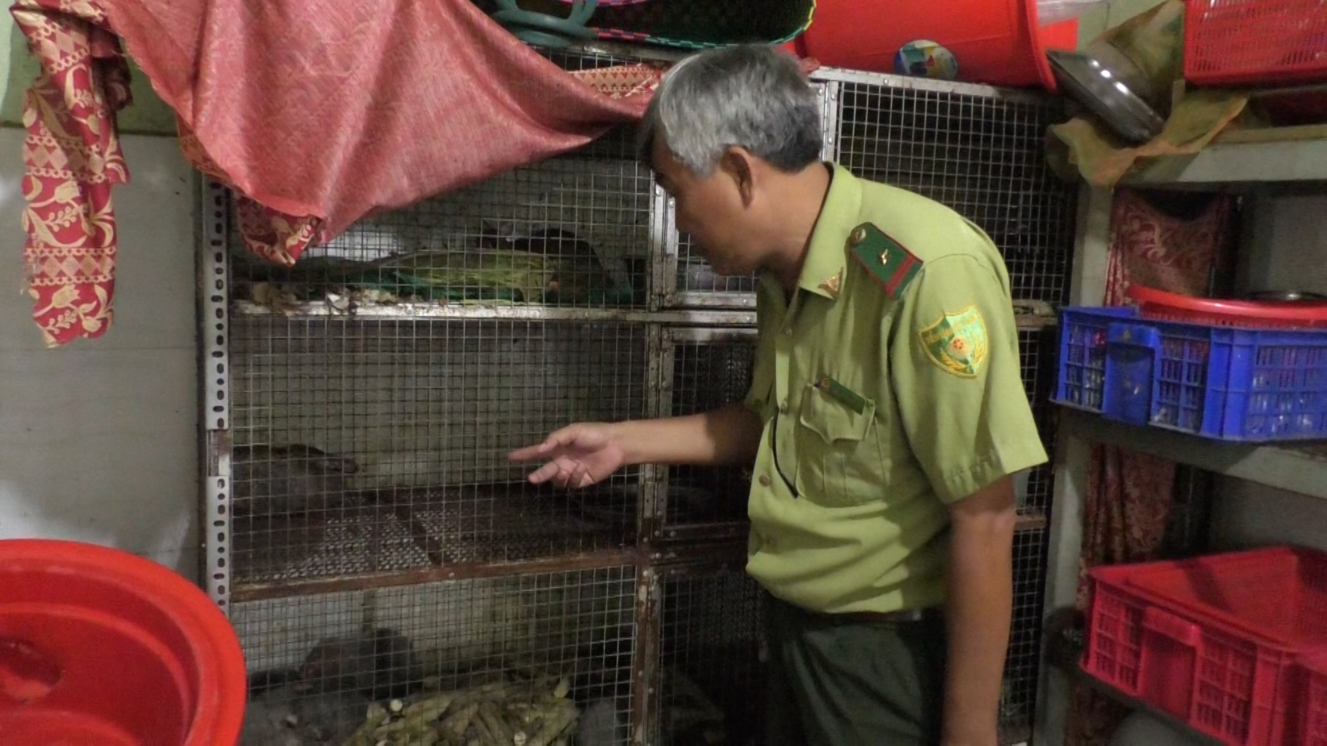 Giải cứu 15 động vật quý hiếm ngay trong quán nhậu