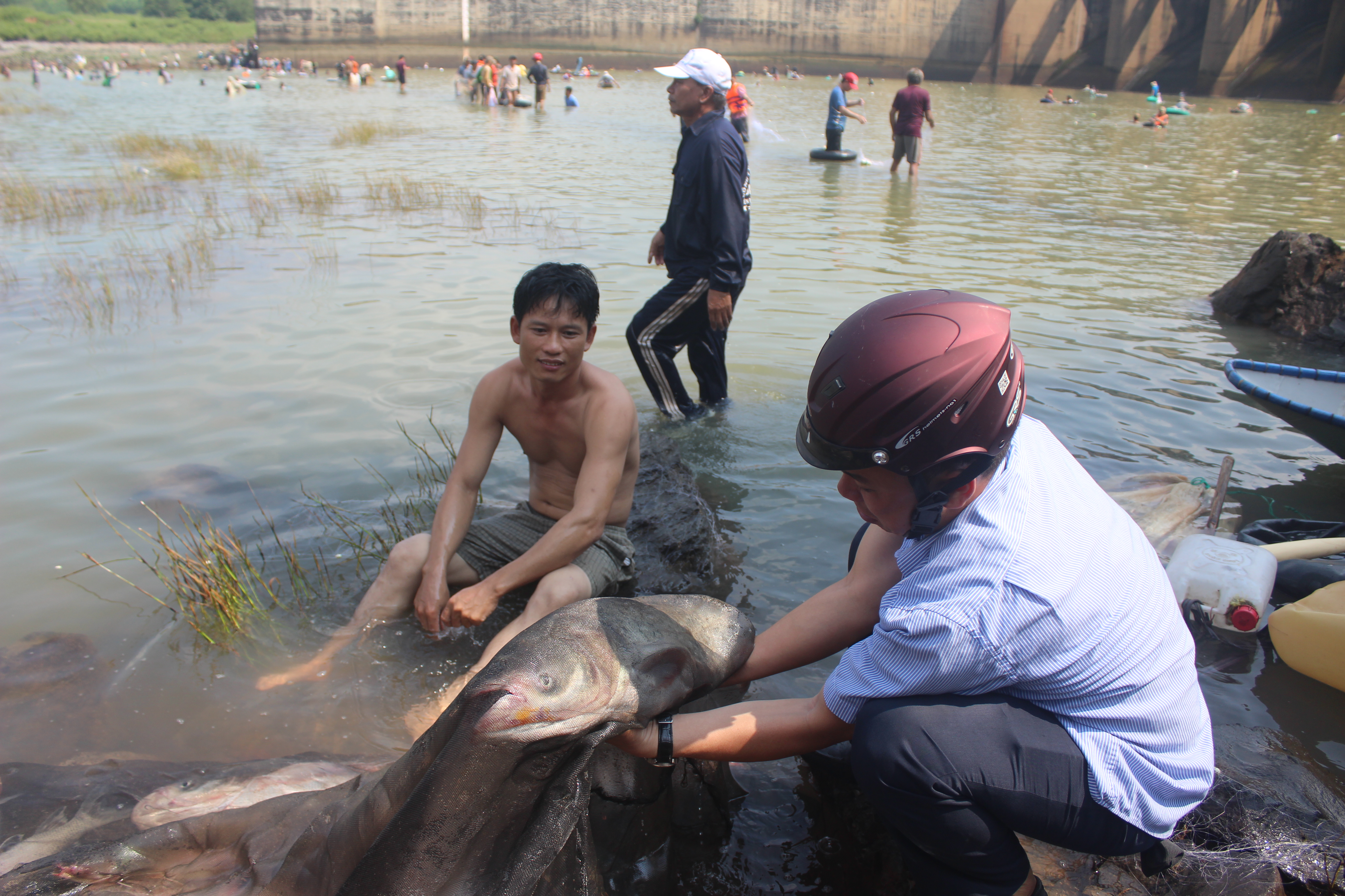 Thuê khách sạn để chờ bắt cá sau khi Thủy điện Trị An đóng cửa xả tràn