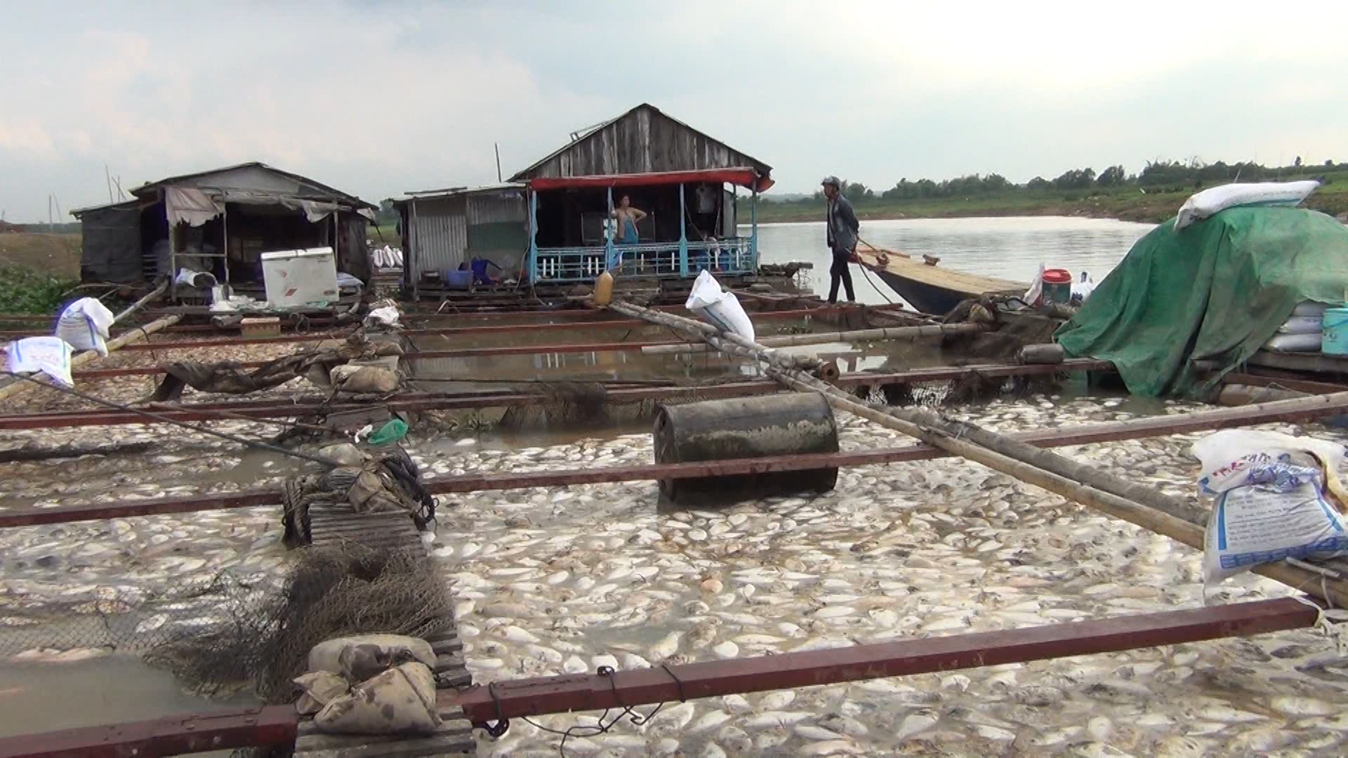 Nỗi đau chồng chất ở làng cá bè La Ngà 