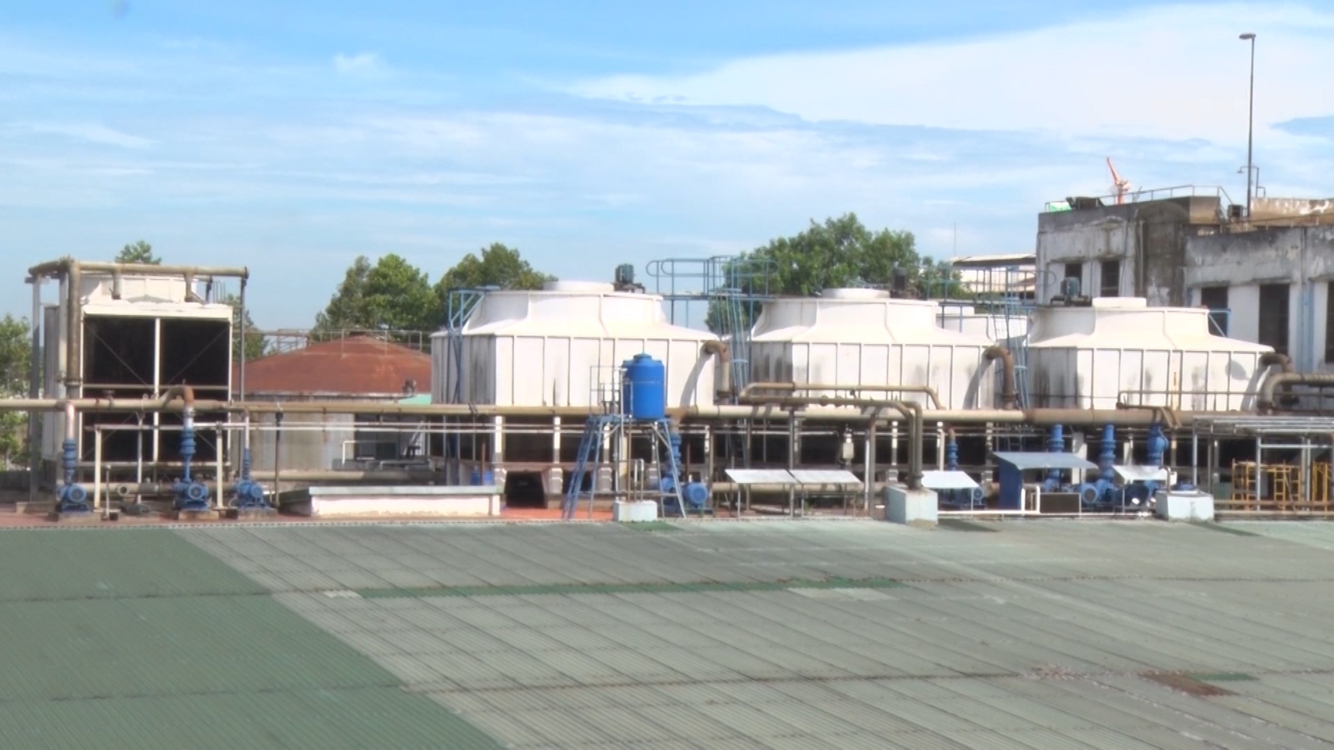 Nhiều sai phạm về môi trường tại Công ty TNHH AB Mauri 