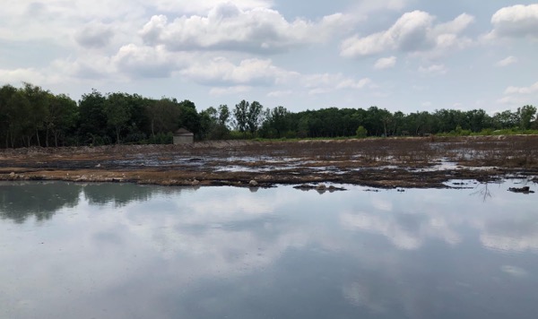 Đình chỉ hoạt động doanh nghiệp xả nước thải chưa qua xử lý ra môi trường