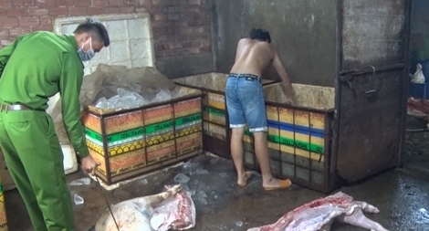 Gần 1 tấn thịt lợn bệnh, lợn chết chuẩn bị đưa đi tiêu thụ