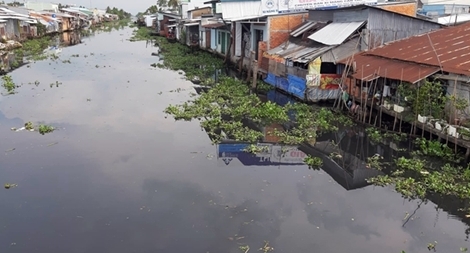 Nhà máy mía đường cồn Long Mỹ Phát là “thủ phạm” gây ô nhiễm nước sông Cái Lớn