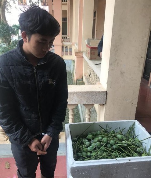 Thu giữ 2 thùng quả anh túc tươi