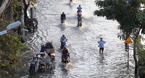 Lao đao vì triều cường đạt đỉnh 