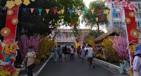 Tươi sáng những đường hoa trong bệnh viện