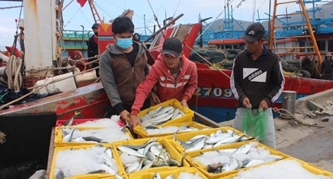 Tàu thuyền đầy ắp "lộc biển” nhộn nhịp cập cảng cá lớn nhất miền Trung ngày cận Tết