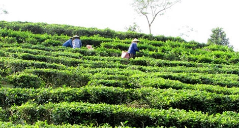 Chuyển Bộ Công an điều tra việc sử dụng nhà đất tại 3 tập đoàn, tổng công ty