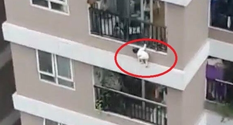 Thót tim hình ảnh bé gái 3 tuổi rơi từ tầng 12 chung cư xuống đất