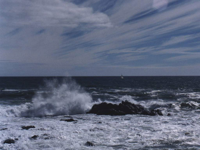 Xuất hiện cơn bão gần biển Đông 