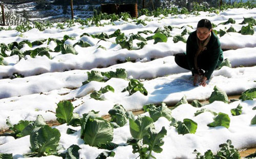 Đón thêm không khí lạnh, miền Bắc chìm trong giá rét 