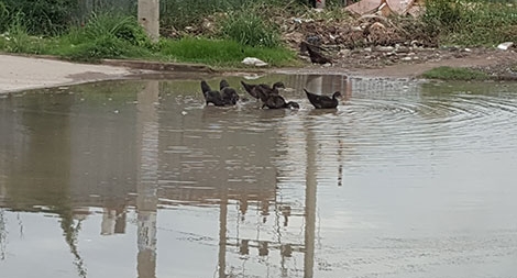 TP Hồ Chí Minh: Gian nan chống ngập