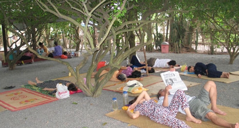 Thực hư "Khu vườn kỳ lạ" ở Long An có tác dụng chữa bệnh?