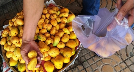 Không có chuyện xoài giả như tin đồn trên mạng xã hội