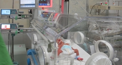 Bé Gấu chỉ phải nằm lồng kính 1 tháng nữa