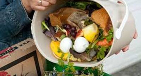 Italia hình sự hóa tội danh vứt bỏ thực phẩm