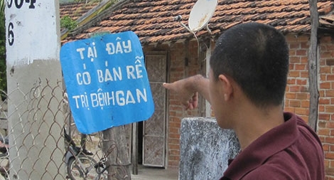 Mê hồn trận thảo dược thải độc gan