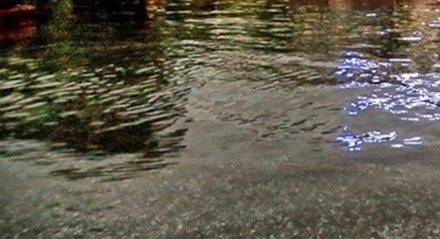 Vợ đè chồng chết ngạt trên sân ngập nước