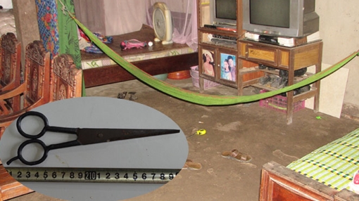 Nghịch tử ngáo đá đâm mẹ tử vong