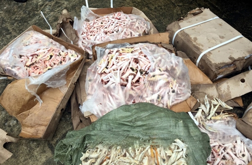 Tiêu hủy 2,4 tấn chân gà đã bị phân hủy và cá chim nhập lậu