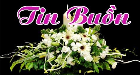 Đại tá Trần Chính từ trần