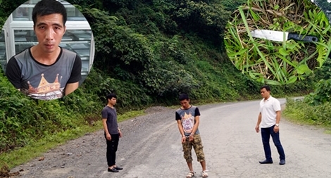 Lên cơn nghiện, cướp xe ôm lấy tiền mua ma túy