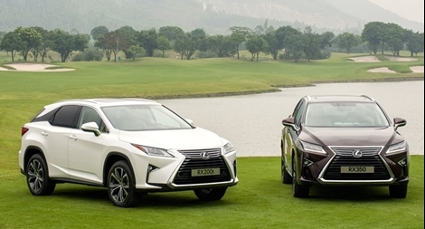 Xe sang Lexus RX350 và RX200t tại Việt Nam bị triệu hồi