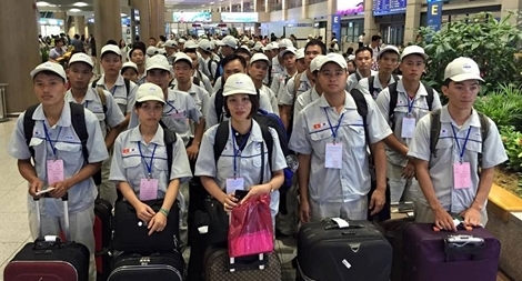 Cơ hội việc l&#224;m cho lao động H&#224;n Quốc về nước